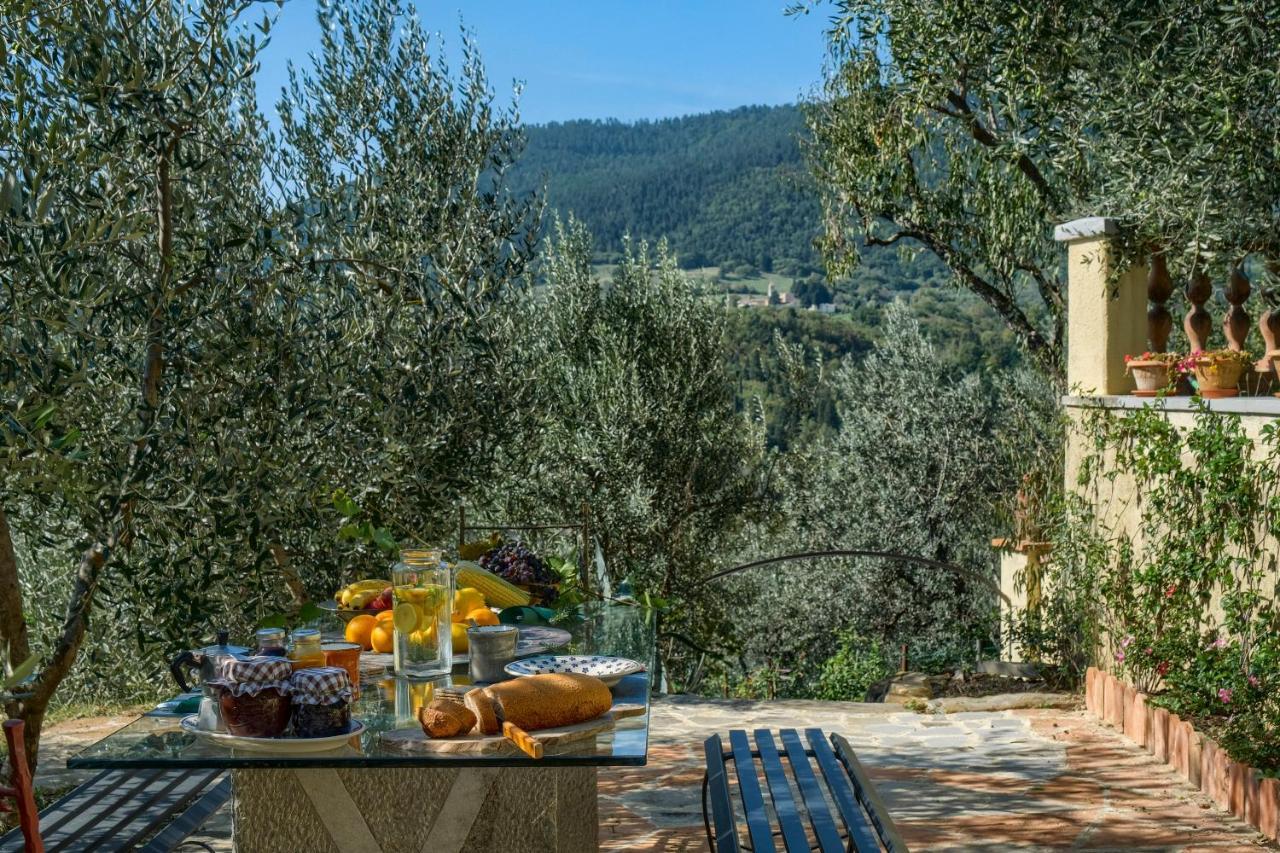 Villa Maria - In The Hills Above Florence Castiglione  Dış mekan fotoğraf